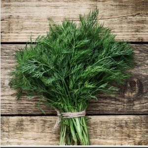 🪴 Seed / Planting Bundle 🌿